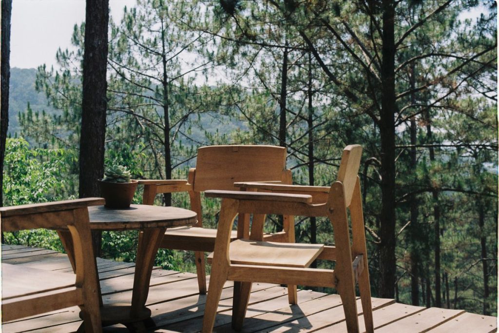 Terrasse bois ou composite : comparatif prix et durabilité