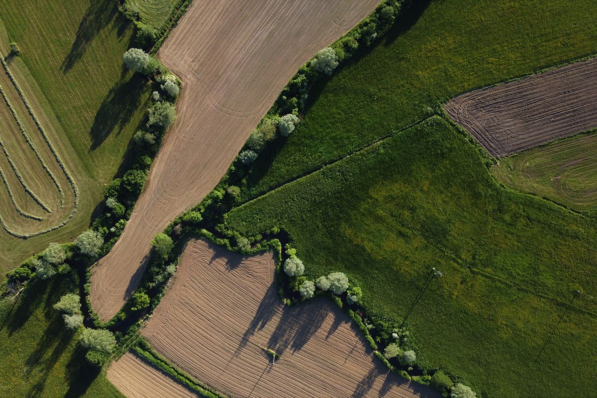Bornage de terrain : prix et procédure
