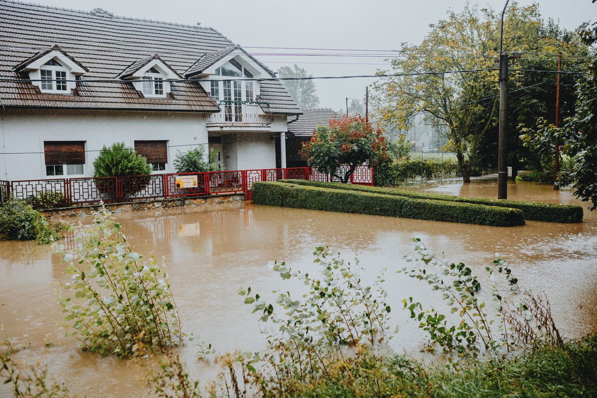 Dégât des eaux : déclaration et indemnisation, les démarches à suivre
