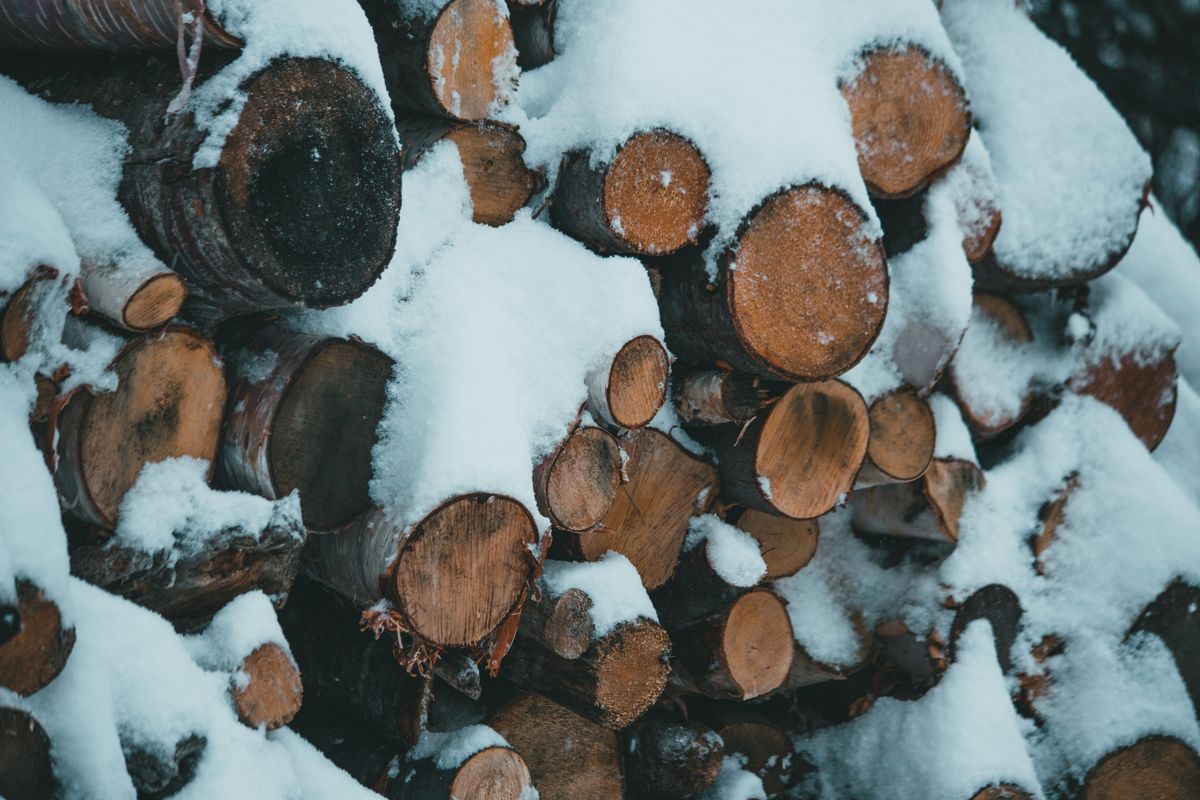 Prix du stère de bois de chauffage en 2026 : tarifs, facteurs et conseils